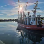 Deichkrone *