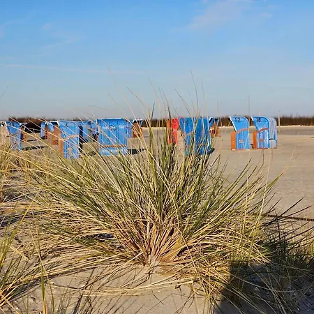 Deichkrone * Dornum