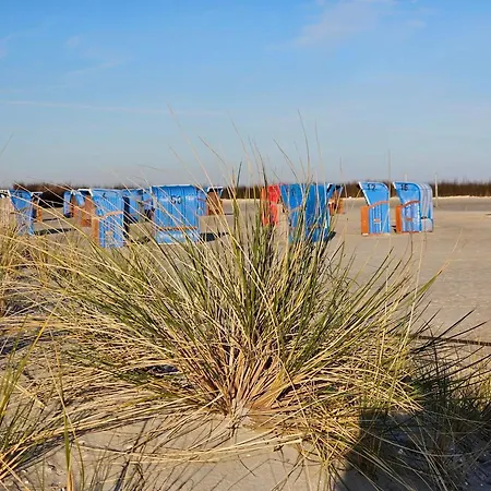 Deichkrone * Dornum